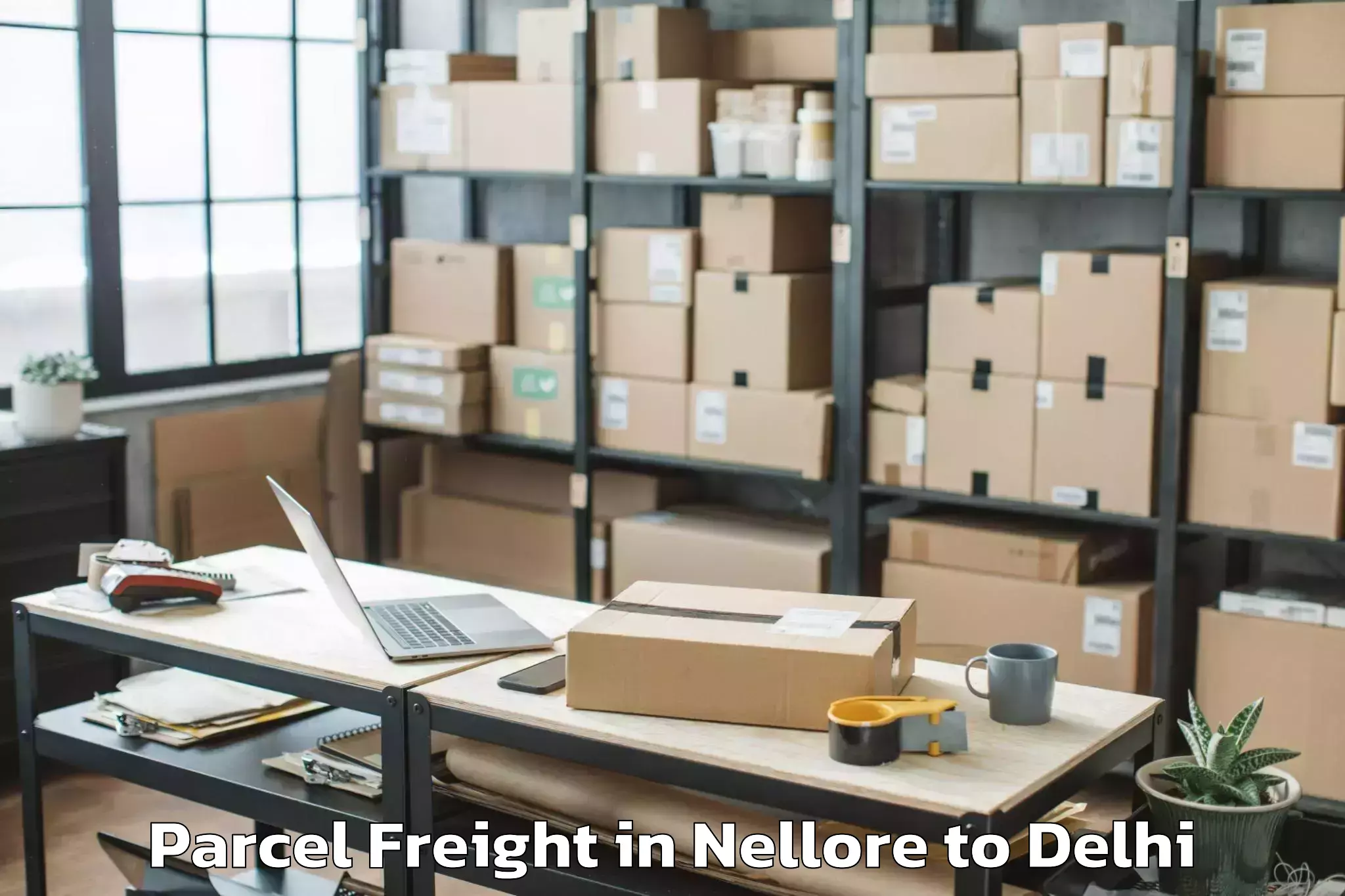 Easy Nellore to Hauz Khas Parcel Freight Booking